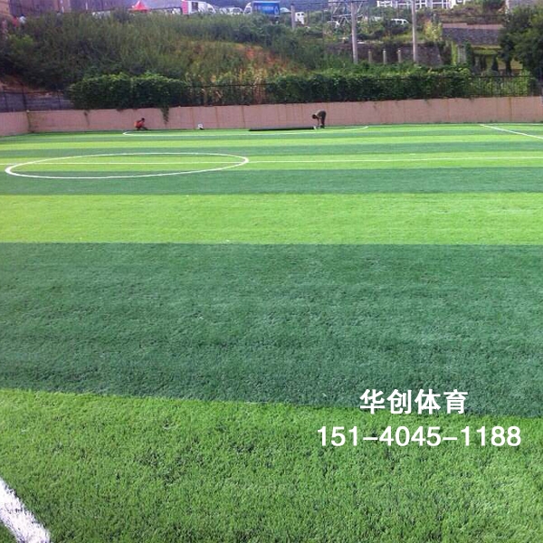 足球场人造草坪