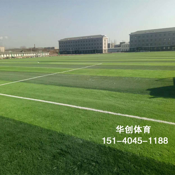 足球场人造草坪